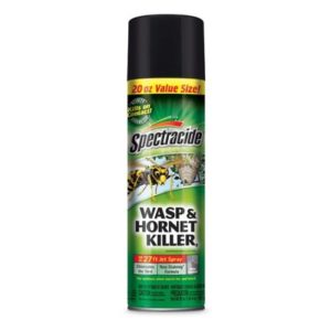 A picture showing a can of wasp spray to illustrate what it is we're referring to. 